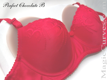 Perfect Chocolate B Cup Silicone Breast Forms - 01